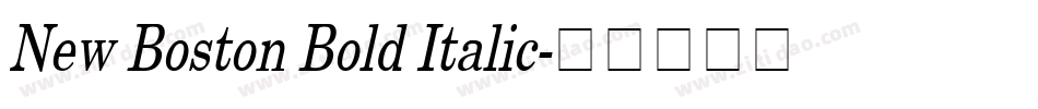 New Boston Bold Italic字体转换